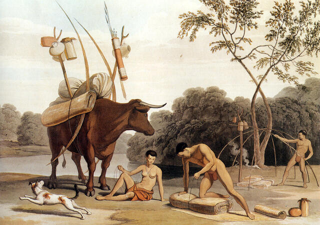 Grade 5 term 1 timeline: Hunter-gatherers and herders in Southern Africa