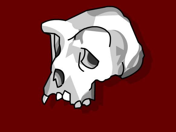 Activity: Human evolution