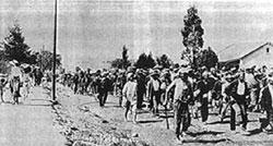1913 Satyagraha Campaign Resumes