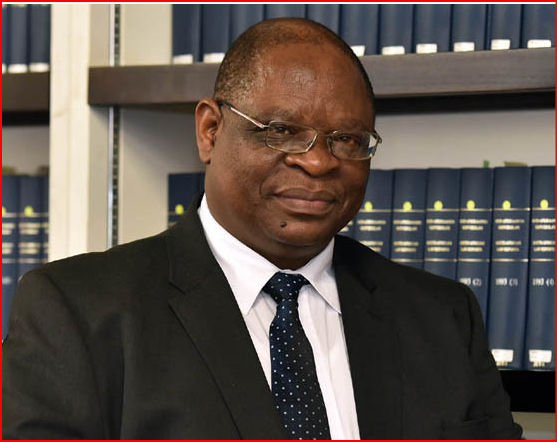 Chief Justice Raymond Zondo portrait