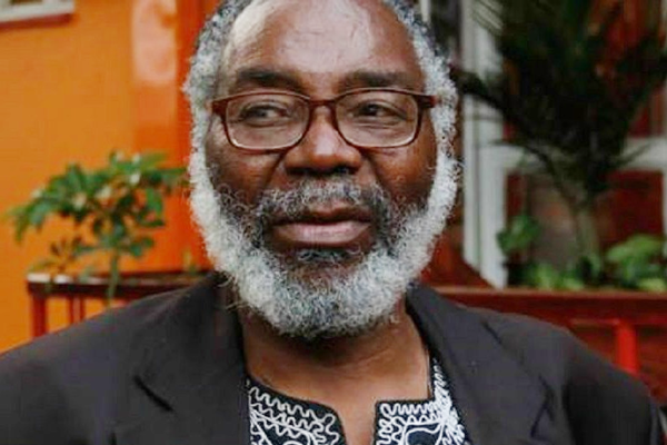 Stephen Joel Chifunyise portrait