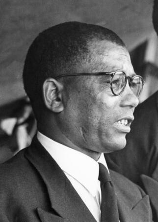 Walter Ulyate Sisulu portrait