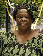 Wangari Maathai portrait