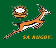 Springboks lose to the Lions