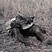 Two policemen are killed in poll tax resistance