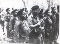 Over 60 people are killed by RENAMO in Mozambique