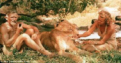 Elsa, the lioness made famous by Joy Adamson's book Born Free, dies in Kenya