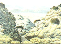 John Koenakeefe Mohl, SA artist is born