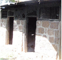 Mau Mau political prisoners escape from Mageta Island, Lake Victoria