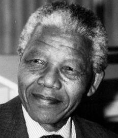 Grade 4 - Term 2: Learning from leaders