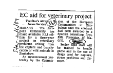 European Economic Community 1989 - 1991