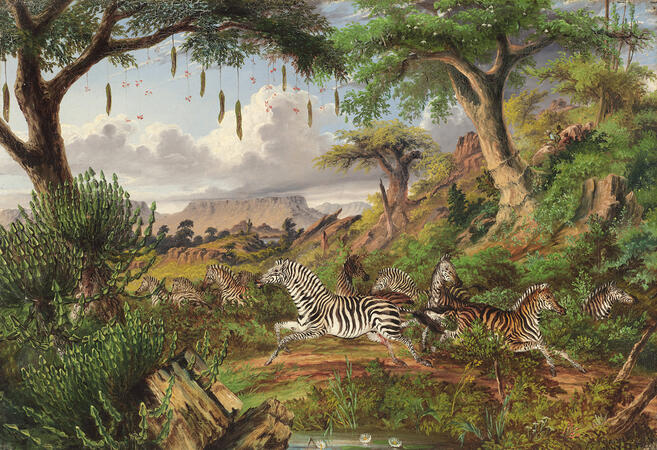 The Full Striped Quagga,  painting by Thomas Baines