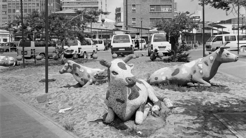 David Goldblatt's landscapes of high voltage by Melvyn Minnaar, 21 November  2014