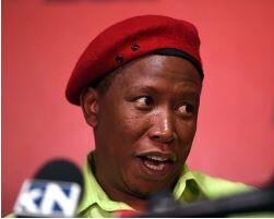 You are a fraud, Mr Malema by Robin Binckes