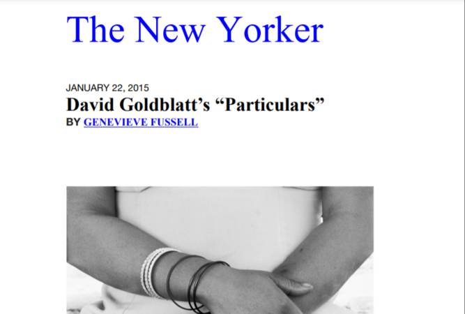 The New Yorker:  David Goldblatt’s “Particulars” by Genevieve Fussell, 22 January 2015