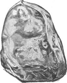 The Excelsior, biggest diamond till then, is found in the Jagersfontein mine, OFS