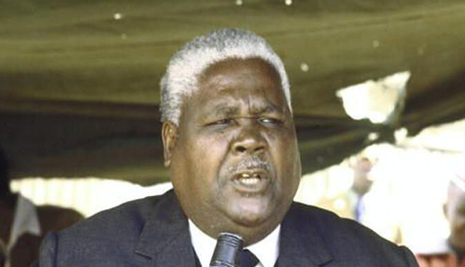 Zimbabwe's interior minister Joshua Nkomo is dismissed