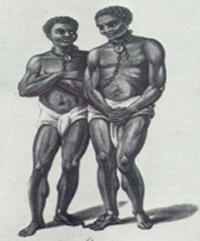 The first slave arrives at the Cape