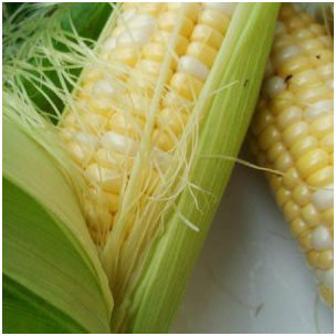 South African GMO Act implemented