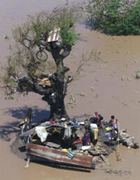 Heavy rains continue to ravage SA, Botswana, Mozambique and Zimbabwe