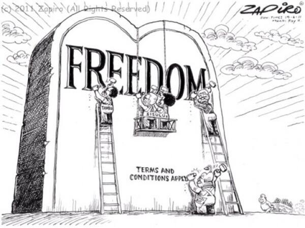Remembrance of Albertina Sisulu through the Work of Cartoonists