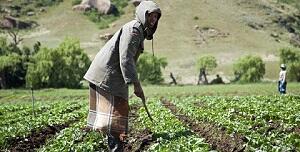 Land Restitution in South Africa since 1994