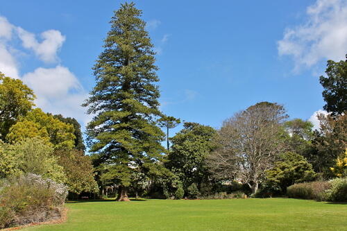 Arderne Public Gardens, Main Road, Claremont