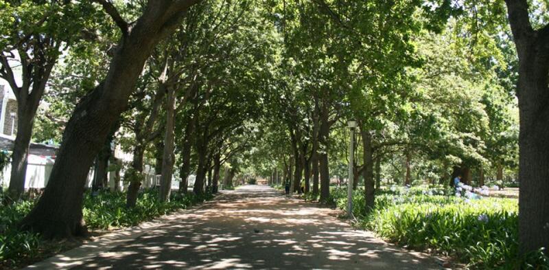 The Company Gardens, Cape Town.