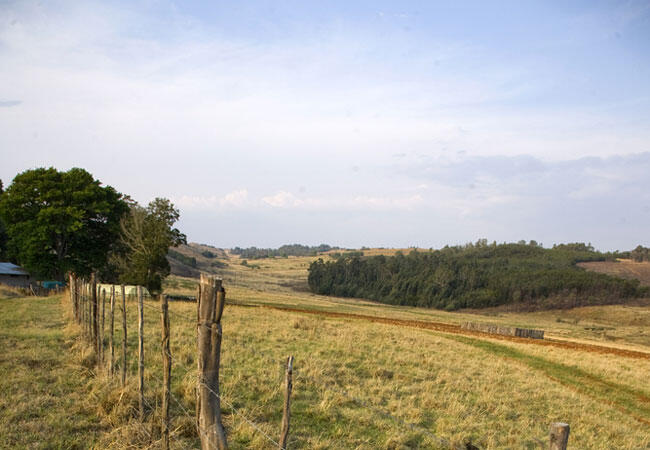 Delmas