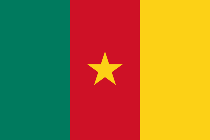 Flag of Cameroon