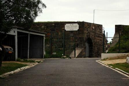 Fort Wynyard