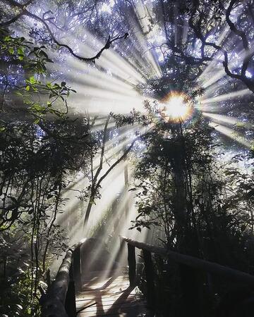 God’s Window