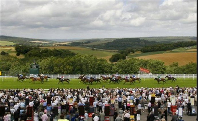https://www.drawbias.com/images/courses/goodwood.jpg