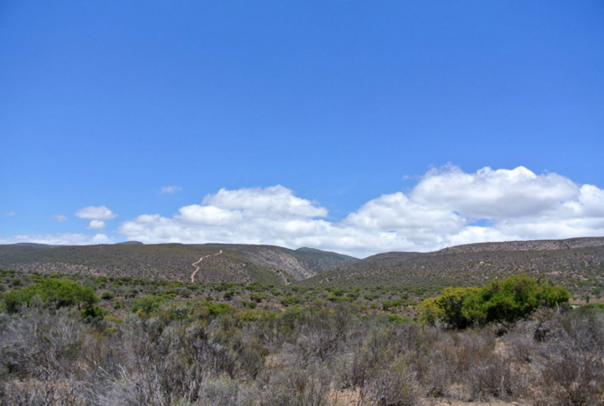 https://www.sa-venues.com/things-to-do/easterncape/gallery/5950/1b.jpg