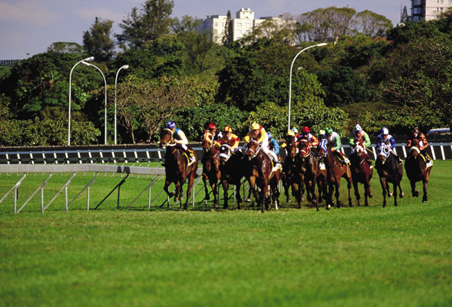 https://www.sa-venues.com/attractions/gallery/westerncape/305/1.jpg