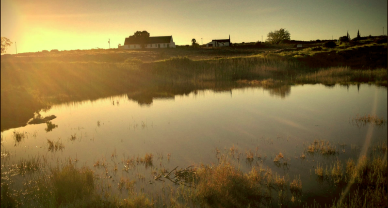 Kookfontein