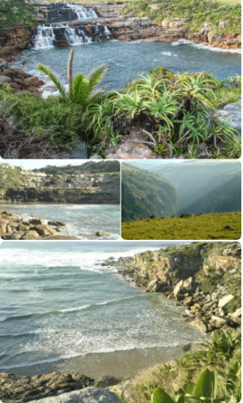 https://www.wildcoast.co.za/sites/default/files/styles/collageformatter/public/collageformatter/800x536_copy_mkambati-waterfall-by-wildlife-and-conservation-photographer-peter-chadwick-52-1371624813.jpg