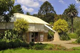 Bloemfontein Orchid House