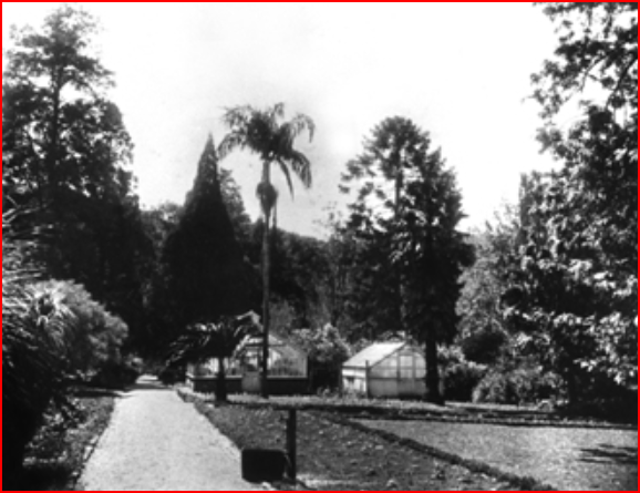 https://www.sanbi.org/sites/default/files/images/pmb-1920-no-12.jpg