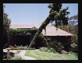 Preller-Rondawels, Pelindaba