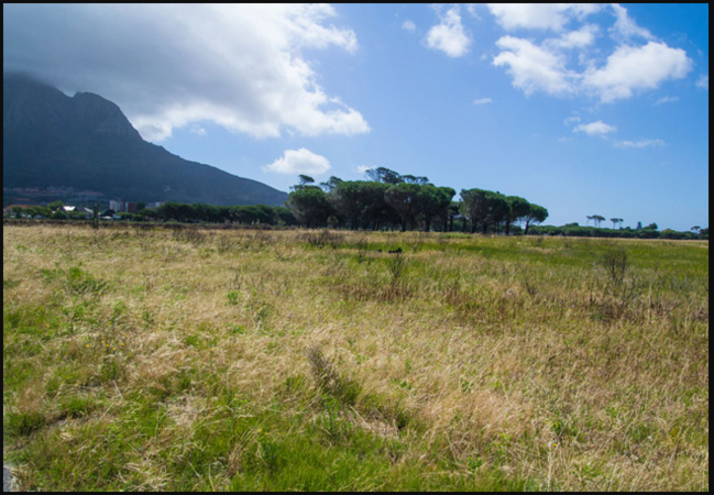 Rondebosch Common, Camp Ground Road, Rondebosch.