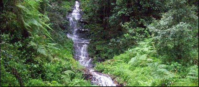 Stutterheim, Amatola- Eastern Cape