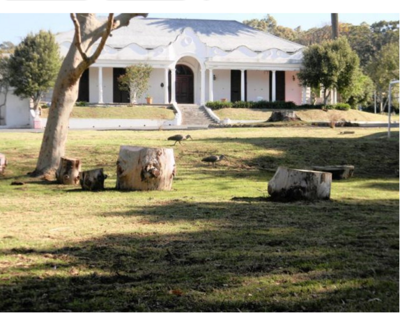 Tenterden, 60 Durban Road, Wynberg