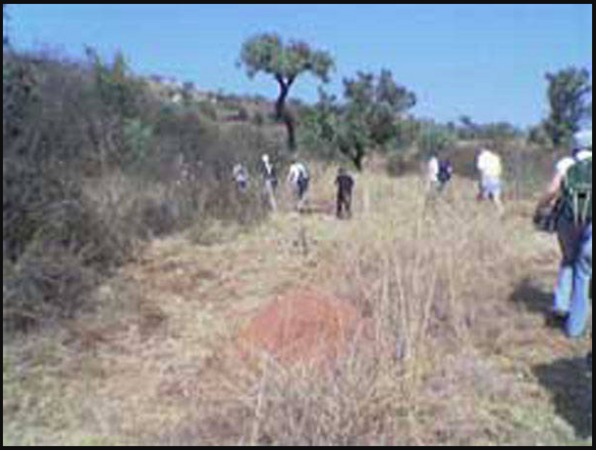 The Struben Mine Shafts, Kloofendal, Roodepoort