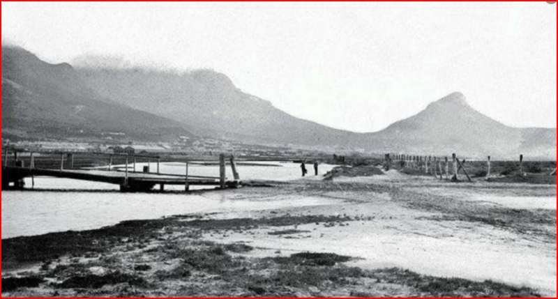 https://www.capetownetc.com/wp-content/uploads/2025/11/image-1280x720-2025-11-03T140721.969-1024x576.png
