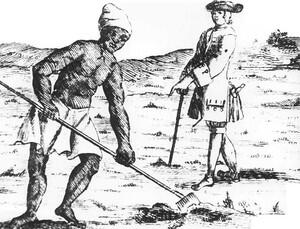 How Unique was Slavery at the Cape? 