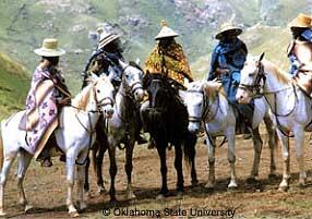 The Basotho