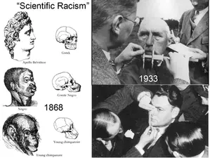 Pseudo-scientific racism and Social Darwinism