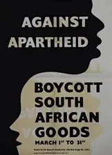 The Anti-Apartheid Movement (AAM)
