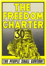 Freedom Charter Poster - 30 Year Celebration